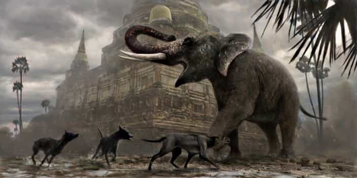 Chó Xoáy Thái Lan trong bức tranh săn voi